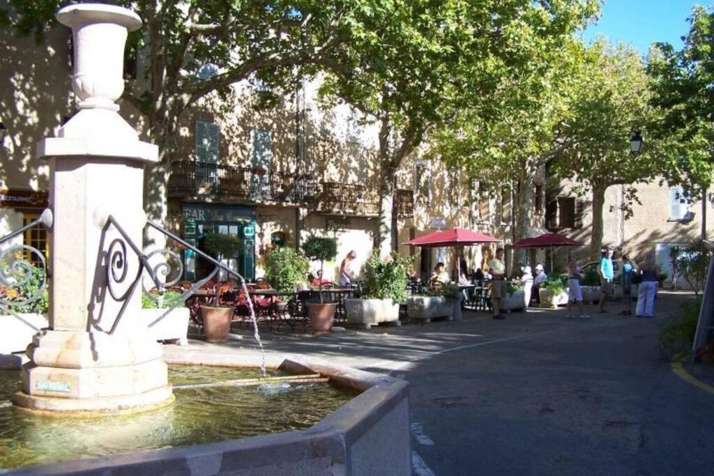 Gite Provencal Independant Avec Piscine Chauffee : Le Suy Bien Flayosc Экстерьер фото