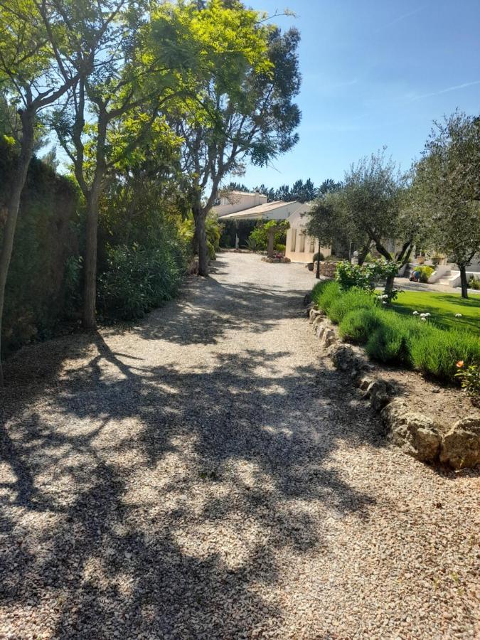 Gite Provencal Independant Avec Piscine Chauffee : Le Suy Bien Flayosc Экстерьер фото