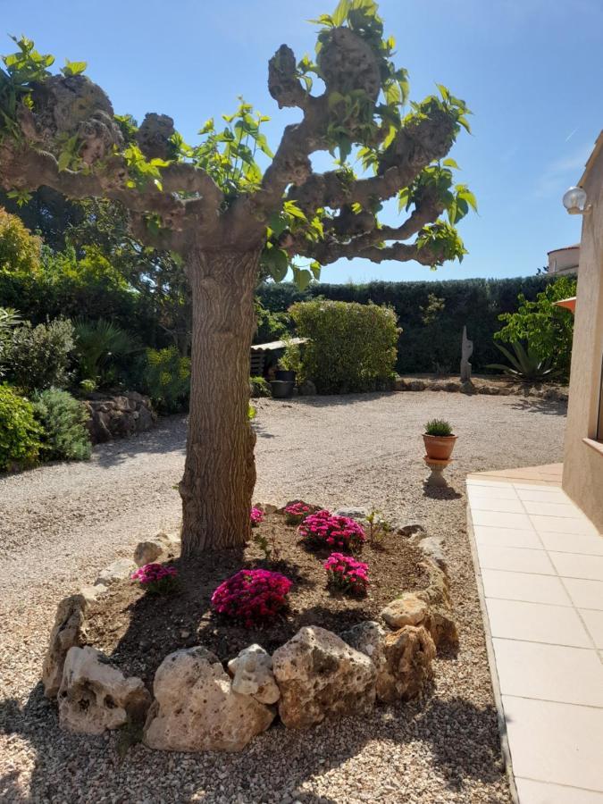 Gite Provencal Independant Avec Piscine Chauffee : Le Suy Bien Flayosc Экстерьер фото
